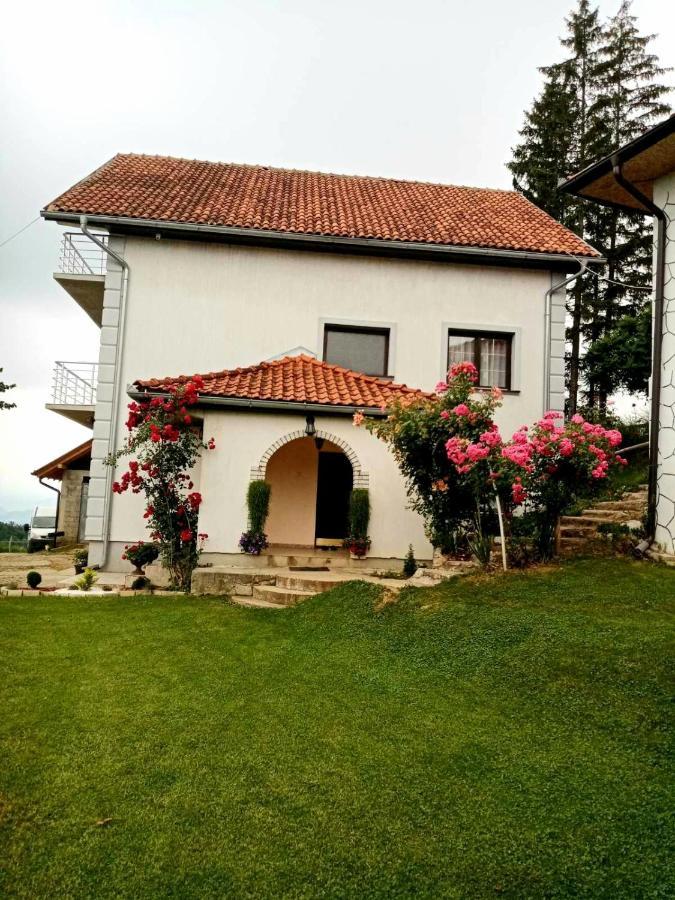 Hotel Domacinstvo Sindelic à Ivanjica Extérieur photo